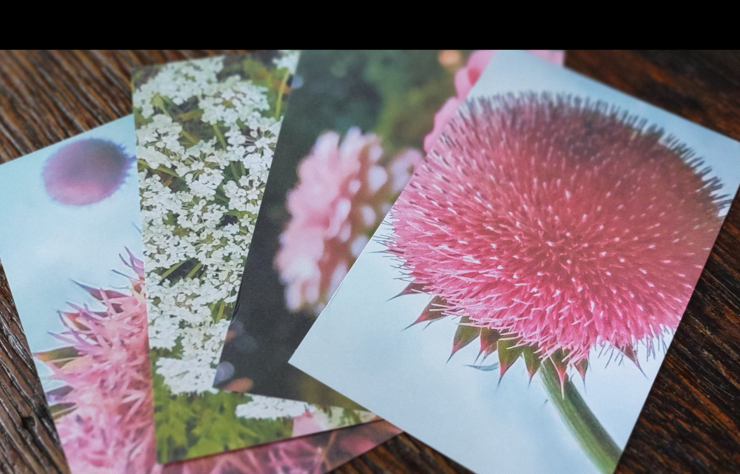 4x6 Floral Postcards