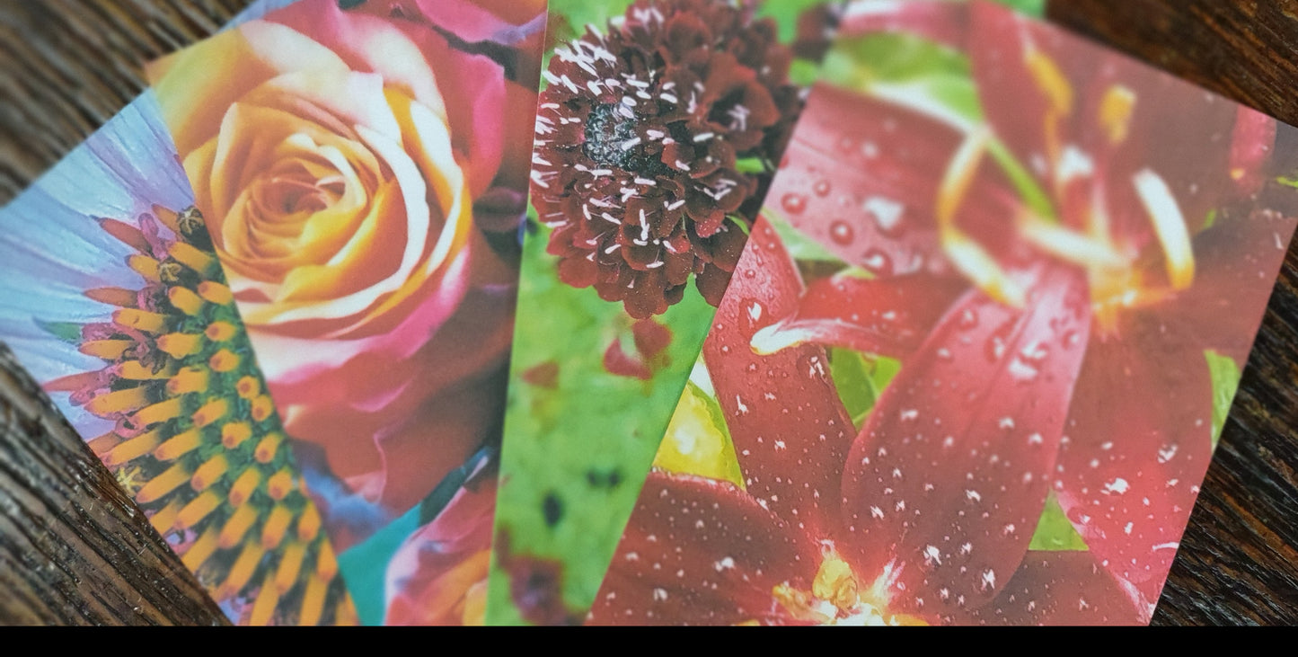 4x6 Floral Postcards