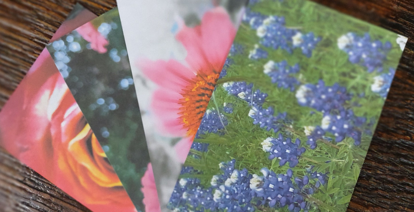4x6 Floral Postcards