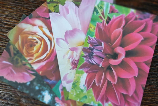 Flower postcard set #1