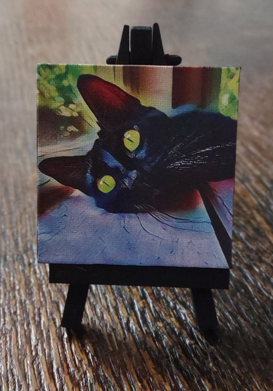 Printed Mini Artwork, Evil Kitty